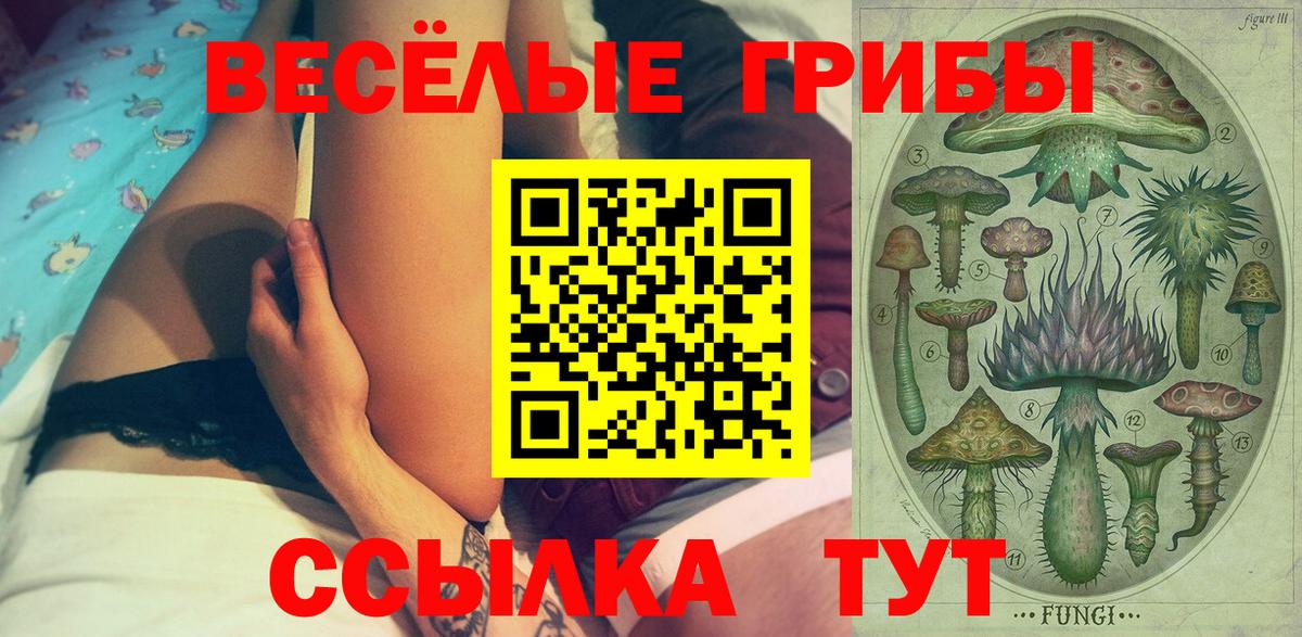 Галлюциногенные грибы прущие грибы Десногорск