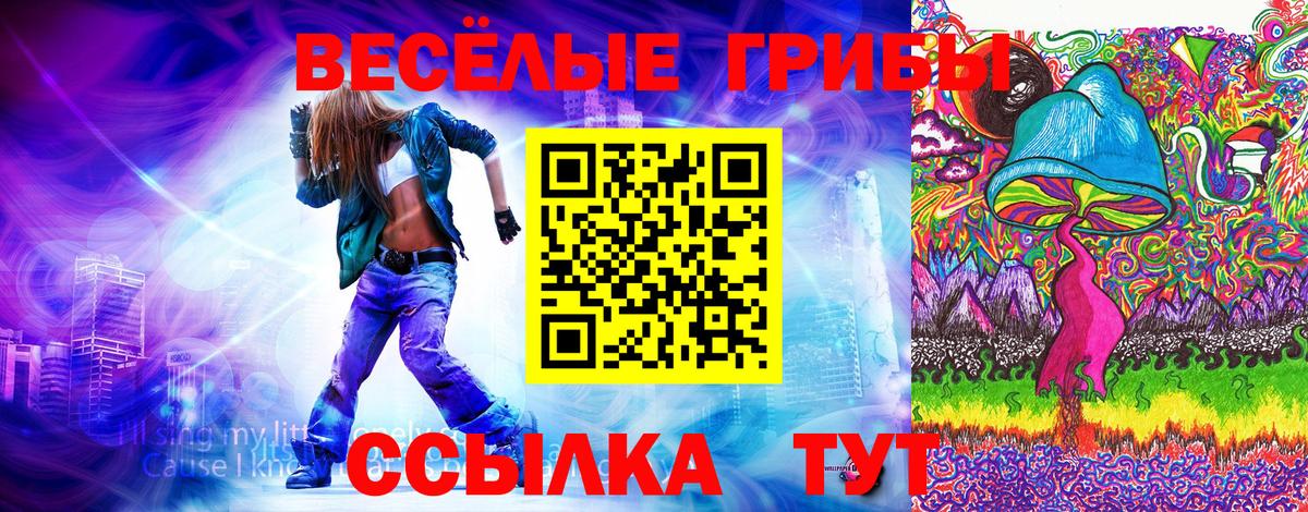 Псилоцибиновые грибы Psilocybe  Вход с VPN  Десногорск 